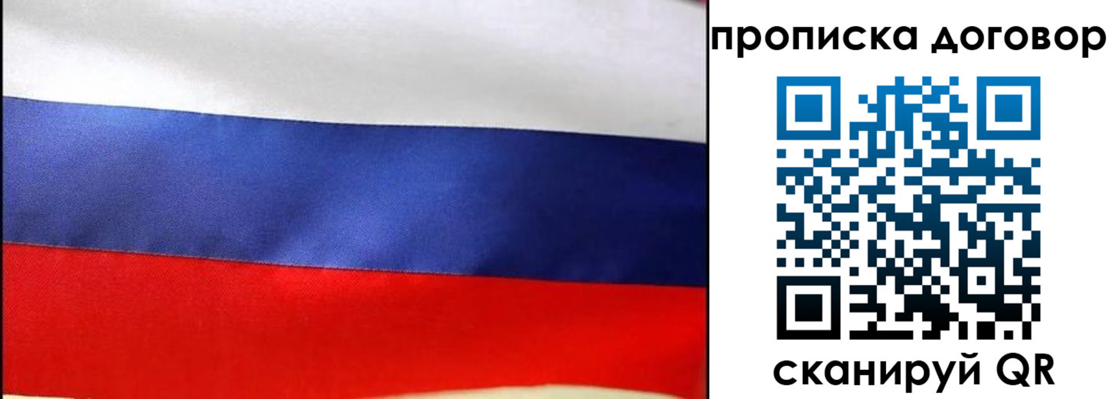 прописка гарантия в Кудрово