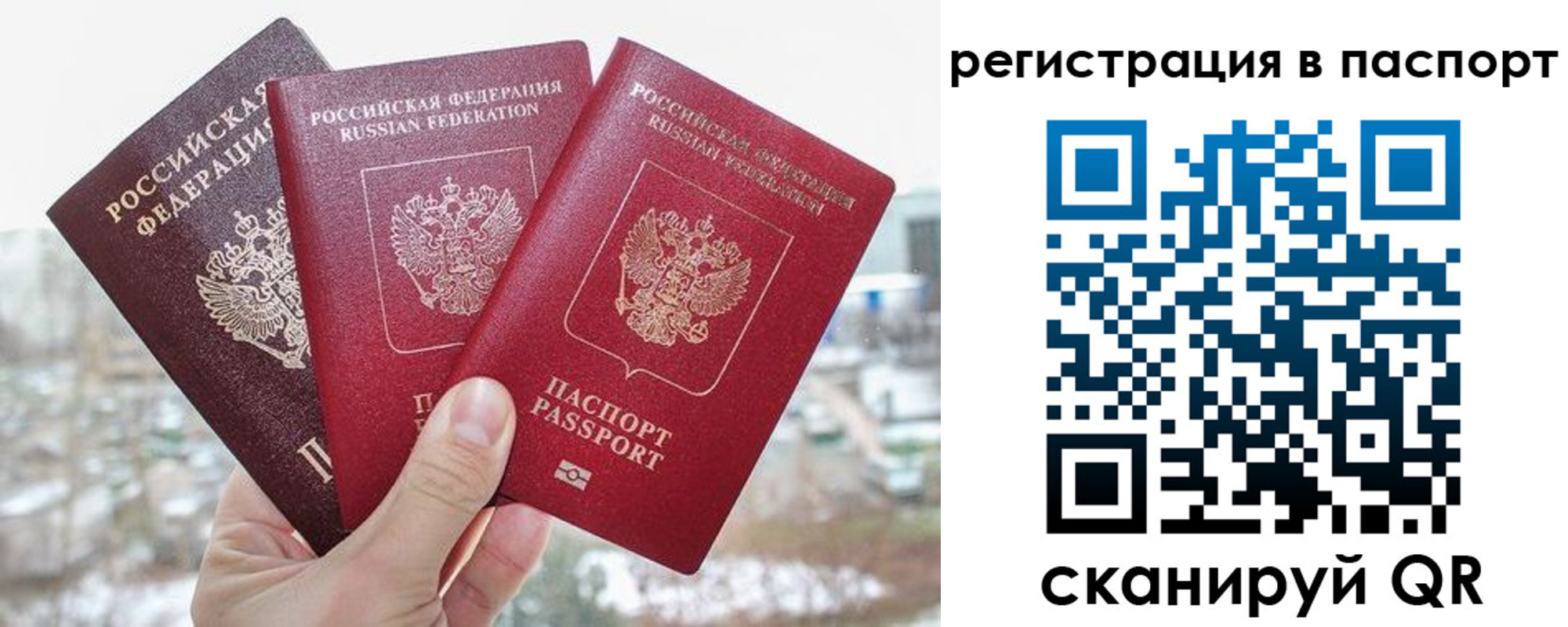 регистрация для школы в Кудрово